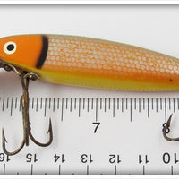 Cisco Kid Orange Scale/Goldfish