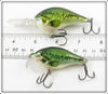 Rapala Bass Dives To 10 Ft & Scatter Rap Pair