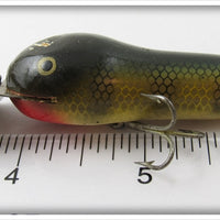 Creek Chub Perch Deepster