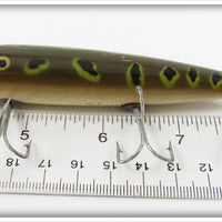 Creek Chub Frog Spot Darter