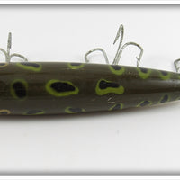 Creek Chub Frog Spot Darter