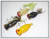 Arbogast Hula Popper Lot: Lum, Black, Yellow Shore, And Coachdog