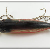 Creek Chub Dace Injured Minnow