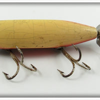 Creek Chub Dace Injured Minnow