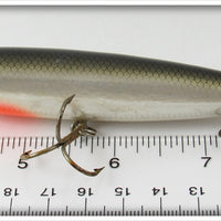 Bagley Tennessee Shad Tall Walker #4