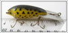 Arbogast Yellow Coachdog Mud Bug
