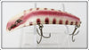 Vintage Helin Purple Striped U20 Flatfish Lure