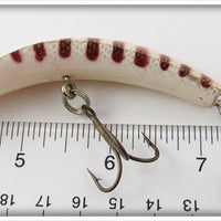 Helin Purple Striped U20 Flatfish