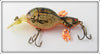 Renosky Crawdad Double Image Lure