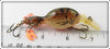 Renosky Crawdad Double Image