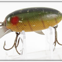 Clark's Perch Red Dent Eye Water Scout