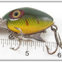 Clarks' Perch Scale Little Eddie