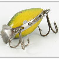 Clarks' Perch Scale Little Eddie