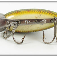 Clark's Perch Scale Water Scout