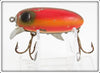 Clark's Rainbow Dent Eye Water Scout