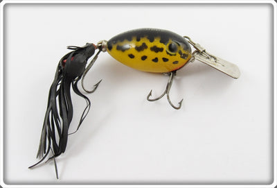 Arbogast Yellow Coachdog Arbogaster