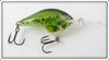 Rapala Natural Bass Lure Dives To 10 Feet
