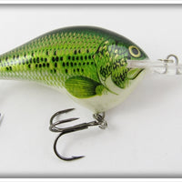 Rapala Natural Bass Lure Dives To 10 Feet