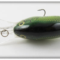 Rapala Natural Bass Dives To 10 Feet
