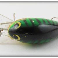 Bagley Fire Tiger Bitty B