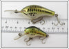 Bagley Little Bass On White Pair