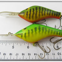 Poe's Green Crawdad Pair