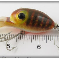 Arbogast Brown Parrot Bug Eye