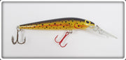 Storm Deep Jr Thunder Stick Brown Trout