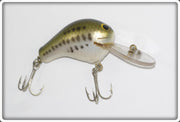 Bagley Killer B 1 Sink N Swim Little Bass On White