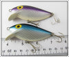 Storm Blue Scale & Purple Scale Thinfin Pair