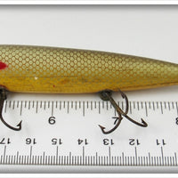 Paw Paw Gold Scale Aristocrat Shiner