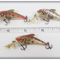 Rebel Creature Lot: Rainbow Trout & Brown Trout