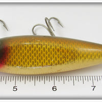 Creek Chub Golden Shiner Injured Minnow