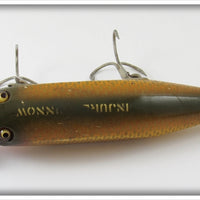 Creek Chub Golden Shiner Injured Minnow