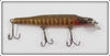 Creek Chub Pikie Scale Thin Body Husky Pikie