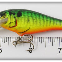 Bagley Green Crayfish On Chartreuse Bass N Shad