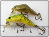 Rebel Gold & Yellow Frog Pair