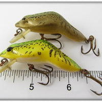 Rebel Gold & Yellow Frog Pair