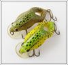 Rebel Gold & Yellow Frog Pair