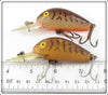 Rebel Brown Crawdad Super R Pair