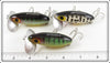 Arbogast Perch & Black Coachdog Jitterbug Lot Of Three