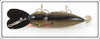 Gold Scale Whopper Stopper Hellbender Type