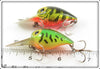 Storm Naturalized Perch & Fire Tiger Wee Wart Pair