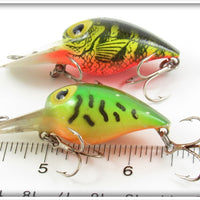 Storm Naturalized Perch & Fire Tiger Wee Wart Pair