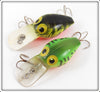 Storm Naturalized Perch & Fire Tiger Wee Wart Pair