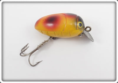 Millsite Rattle Bug Orange With Red & Black Spots