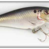 Vintage Bagley Shad On White Small Fry Shad Lure