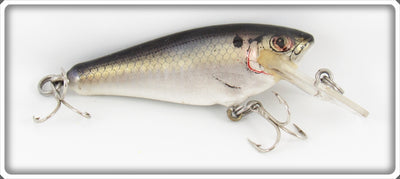 Vintage Bagley Shad On White Small Fry Shad Lure