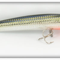 Bagley Crippled Shad On Silver Top Gun # 5 Lure 