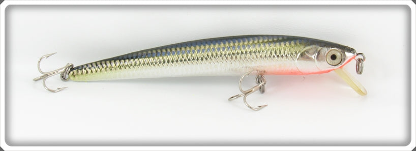 Bagley Crippled Shad On Silver Top Gun # 5 Lure 